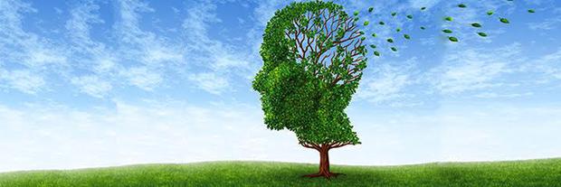 A Natural Approach To Preventing and Overcoming Dementia