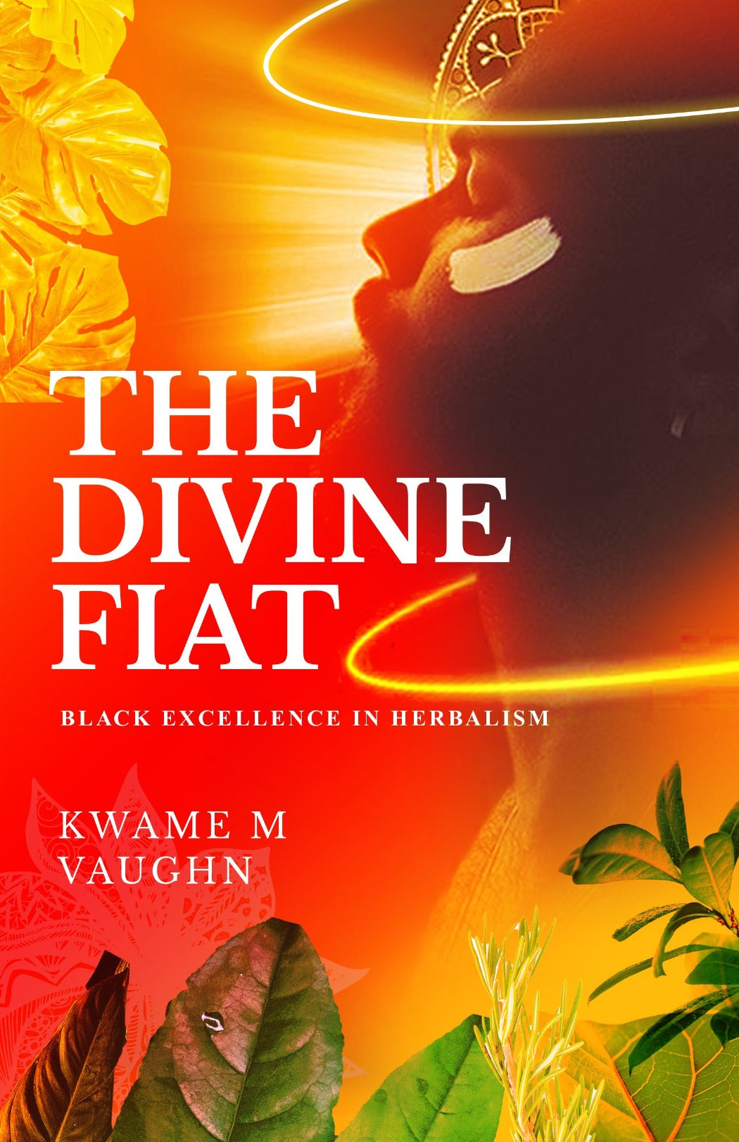 The Divine Fiat: Black Excellence in Herbalism
